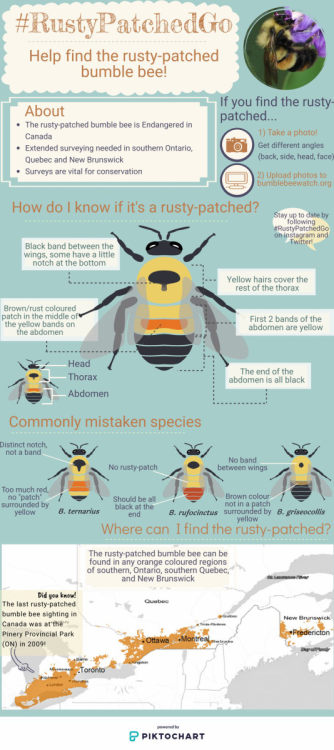 image.thumb.png.a7fce6997c089b5782481ddbb035e0f6.png