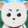 sadaharu
