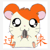 定 格 快 乐