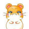 屋塔房上的小猫