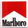 marlboro