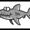 shark